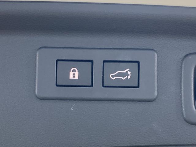 フォレスター アドバンス 純正ナビ/レーダークルーズコントロール/サンルーフ/電動リアゲート/ブラインドスポットモニター/ETC/デジタルインナーミラー/アイサイト/純正18インチアルミホイール/シートヒーター/LEDヘッド(48枚目)