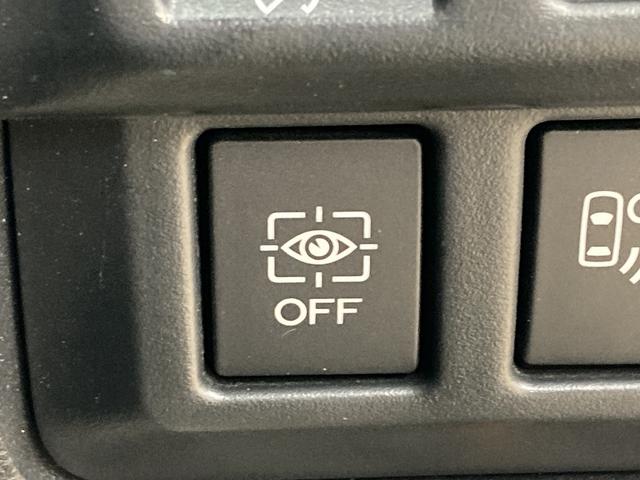 フォレスター アドバンス 純正ナビ/レーダークルーズコントロール/サンルーフ/電動リアゲート/ブラインドスポットモニター/ETC/デジタルインナーミラー/アイサイト/純正18インチアルミホイール/シートヒーター/LEDヘッド(72枚目)