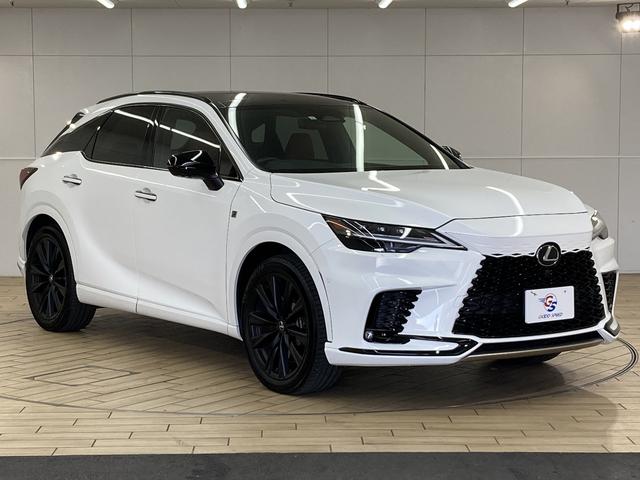 RX RX500h Fスポーツパフォーマンス 純正14型ナビ/サンルーフ/全周囲カメラ/赤革シート/プリクラッシュセーフティー/レーダークルーズコントロール/ブラインドスポットモニター/デジタルインナーミラー/LEDヘッド/シートヒーター(80枚目)