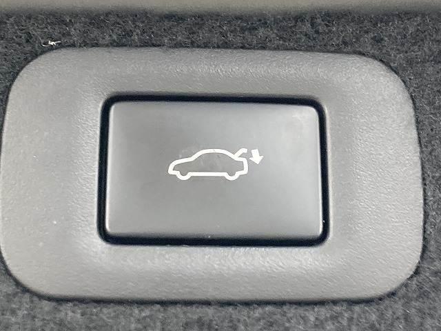 LS LS500h バージョンL アドバンスドドライブ 全周囲カメラ/サンルーフ/マークレビンソン/本革シート/オプションカラー/プリクラッシュセーフティー/レーダークルーズコントロール/デジタルインナーミラー/シートヒーター/ベンチレーション/3眼LED(12枚目)