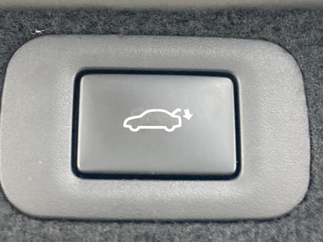 LS LS500h バージョンL アドバンスドドライブ 全周囲カメラ/サンルーフ/マークレビンソン/本革シート/オプションカラー/プリクラッシュセーフティー/レーダークルーズコントロール/デジタルインナーミラー/シートヒーター/ベンチレーション/3眼LED(27枚目)