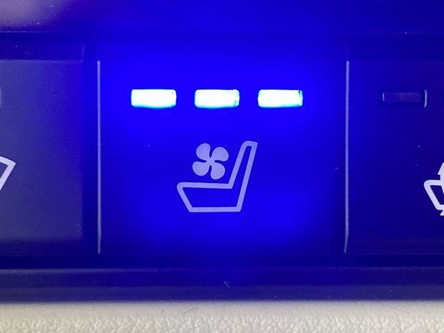 ＣＸ－８０ ＰＨＥＶ　Ｐｒｅｍｉｕｍ　Ｍｏｄｅｒｎ　純正ナビＴＶ／レーダークルーズコントロール／パノラマルーフ／ブラインドスポットモニター／ヘッドアップディスプレイ／白革シート／シートヒーター／シートクーラー／全周囲モニター／ステアリングヒーター（64枚目）