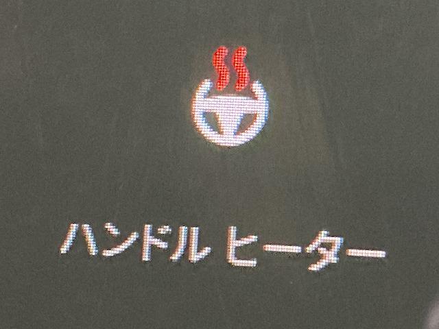 モデル３ スタンダードレンジプラス　ガラスルーフ／オートパイロット／ＥＴＣ／ＬＥＤヘッド／レーダークルーズコントロール／シートヒーター／ハンドルヒーター／純正１９インチアルミホイール／パワーシート／クリアランスソナー（66枚目）