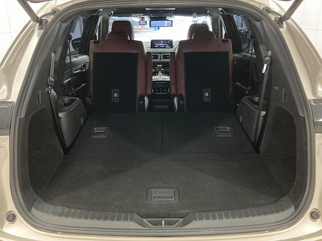 ＣＸ－８ ＸＤ　スポーツアピアランス　全周囲カメラ／赤革シート／ＤＶＤデッキ／ブラインドスポットモニター／レーダークルーズコントロール／メモリーシート／シートヒーター／ベンチレーション／スマートキー／デジタルインナーミラー／ＬＥＤヘッド（42枚目）