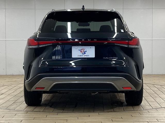 ����̉�����ɂ����Ԏ�ɂ��ẮA�������[���������߂��Ă���܂��B�v���~�A�E�A�v���X�ȂǁA�e�ЂŃ��[���R�����\�ł��B