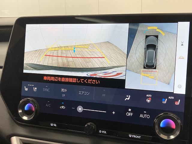 ����̉�����ɂ����Ԏ�ɂ��ẮA�������[���������߂��Ă���܂��B�v���~�A�E�A�v���X�ȂǁA�e�ЂŃ��[���R�����\�ł��B