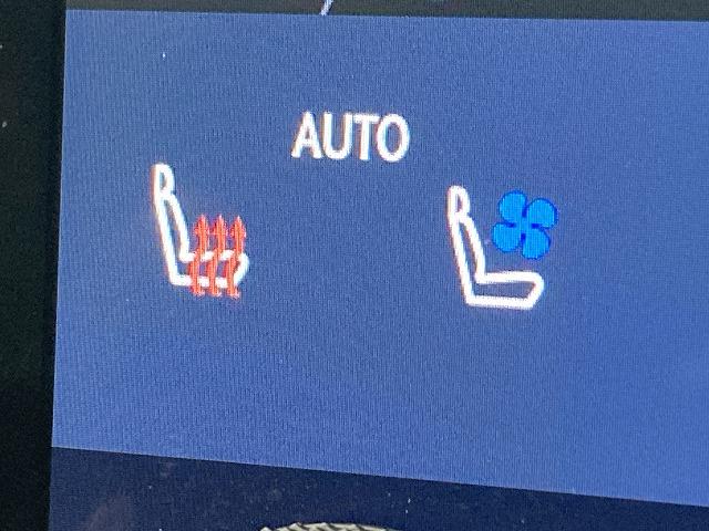 ����̉�����ɂ����Ԏ�ɂ��ẮA�������[���������߂��Ă���܂��B�v���~�A�E�A�v���X�ȂǁA�e�ЂŃ��[���R�����\�ł��B