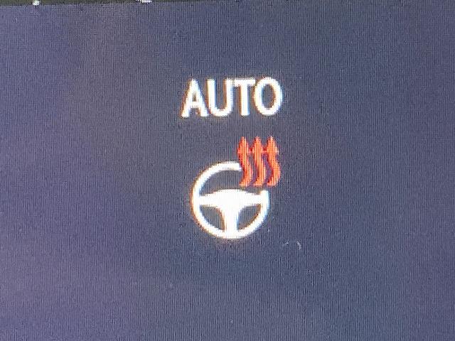 ����̉�����ɂ����Ԏ�ɂ��ẮA�������[���������߂��Ă���܂��B�v���~�A�E�A�v���X�ȂǁA�e�ЂŃ��[���R�����\�ł��B