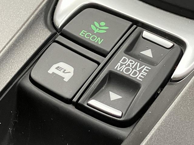 ����̉�����ɂ����Ԏ�ɂ��ẮA�������[���������߂��Ă���܂��B�v���~�A�E�A�v���X�ȂǁA�e�ЂŃ��[���R�����\�ł��B