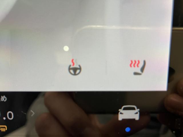 ����̉�����ɂ����Ԏ�ɂ��ẮA�������[���������߂��Ă���܂��B�v���~�A�E�A�v���X�ȂǁA�e�ЂŃ��[���R�����\�ł��B