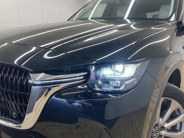 �k�d�c�w�b�h���C�g�����I��Ԃ��΂�����Ƃ炵�܂��B