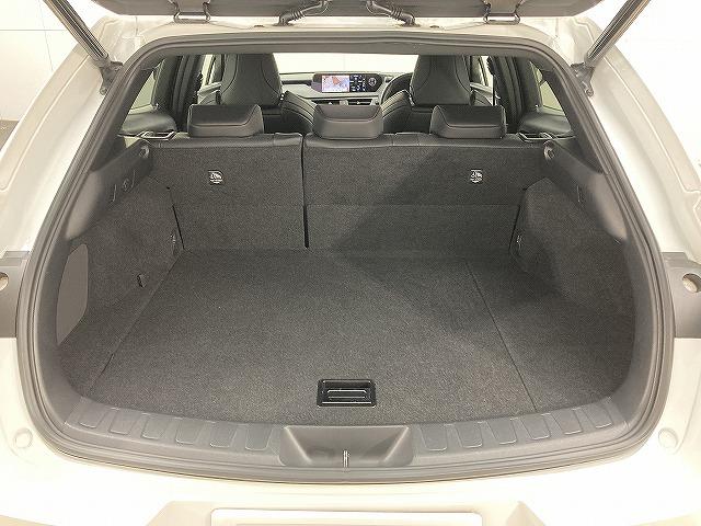 ＵＸ ＵＸ２５０ｈ　Ｆスポーツ　１オーナ‐／３眼ＬＥＤヘッド／全周囲カメラ／レーダークルーズコントロール／プリクラッシュセーフティー／シートヒーター／ベンチレーション／ブラインドスポットモニター／パワーバッグドア／スマートキー（41枚目）