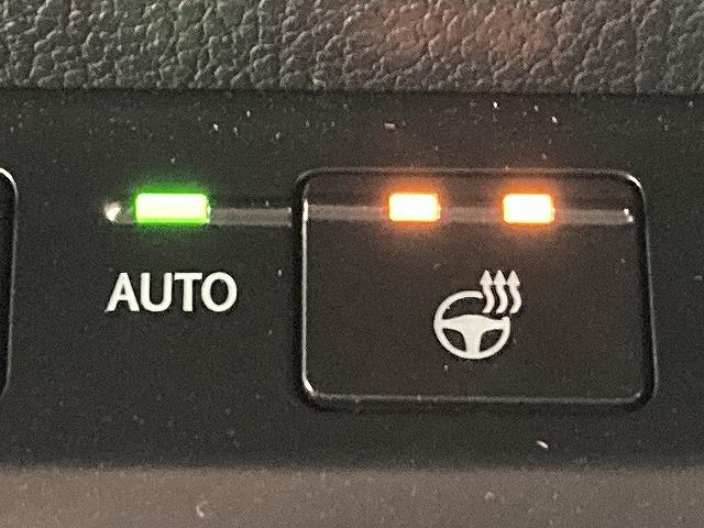 ＵＸ ＵＸ２５０ｈ　Ｆスポーツ　１オーナ‐／３眼ＬＥＤヘッド／全周囲カメラ／レーダークルーズコントロール／プリクラッシュセーフティー／シートヒーター／ベンチレーション／ブラインドスポットモニター／パワーバッグドア／スマートキー（46枚目）