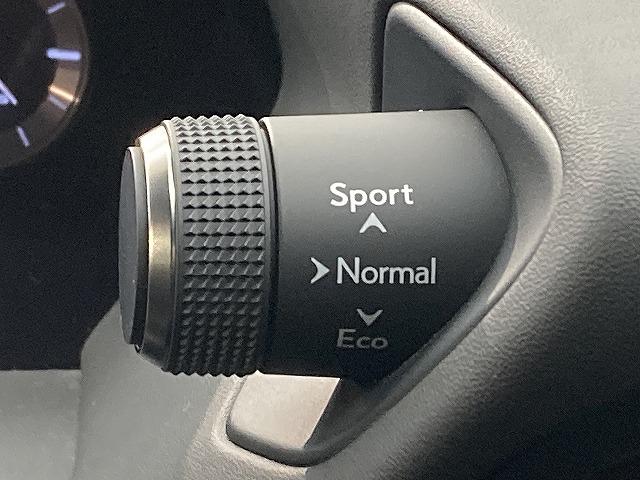 ＵＸ ＵＸ２５０ｈ　Ｆスポーツ　１オーナ‐／３眼ＬＥＤヘッド／全周囲カメラ／レーダークルーズコントロール／プリクラッシュセーフティー／シートヒーター／ベンチレーション／ブラインドスポットモニター／パワーバッグドア／スマートキー（73枚目）