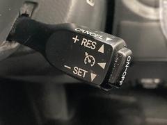 ڥ롼ȥξˤʤޤΥɥ饤֤ι®ƻϩʤɤǤϫڸΩޤ 7