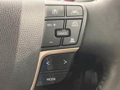 �ڥ����ץƥ��֥��롼������ȥ�����۹�®���Ի��������Τ��֤��ɽ����Ƥ����Τǡ�Ĺ��Υ�ɥ饤�֤���ϫ���礭���ڸ�����ޤ��� 6