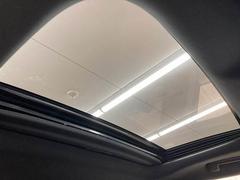 �ڥ���롼�աۥ��ץ����������緿����롼�դ���������������뤯����Ū�ˤʤꡢ�͵��Υ��ץ����Ǥ����ޤ�����躺��ˤ�ץ饹����ޤ��ΤǾ�괹�����ˤ⥻���륹�ݥ���Ȥˤʤ�ޤ��� 6