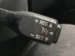 �ڥ��롼������ȥ������������ξ�ˤʤ�ޤ������Υ�ɥ饤�֤ι�®ƻϩ�ʤɤǤ����������ϫ�ڸ�����Ω���ޤ��� 7