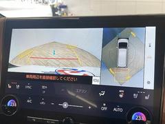 �������ϥ�˥����ۤ��������Ƥ���ޤ��������ϥ����Ǵ������Ρ�������־�Ǥ�¿�������֤Ǥ��ޤ��͡� 4