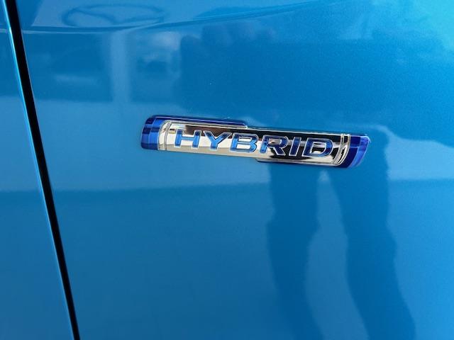 �}�C���h�n�C�u���b�h