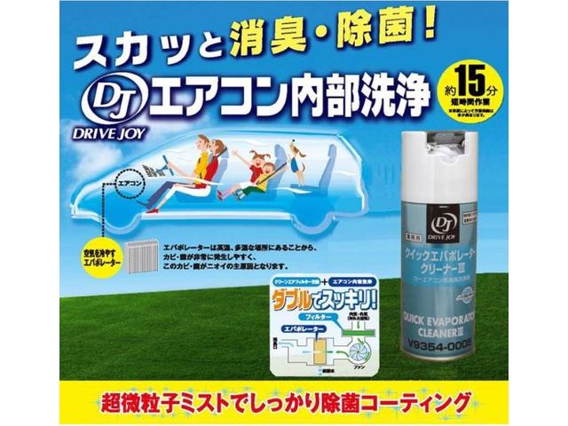 デイズ ハイウェイスター X 65 純正ナビ フルセグTV バックモニター ETC プッシュスタート インテリキー アイドリングストップ HIDヘッドライト ABS Wエアバック 純正AW 電格ミラー(48枚目)