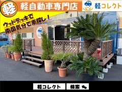 ウッドデッキと可愛い植物で南国気分で車探し 3