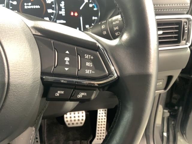 �N���[�Y�R���g���[���𑕔����Ă��܂��B�������H�Ȃǂň��̑��x�ő����Ă����̂ŉ^�]���y�ł���I���x��ݒ�ł��܂��̂ŁA�X�s�[�h�̏o�������ɂ����ӂł��܂��B