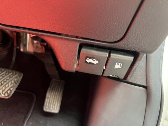 エルグランド ２５０ハイウェイスター　７人の乗り／純正ナビ／バックカメラ／ＥＴＣ／両側電動スライドドア／社外ホイール（36枚目）