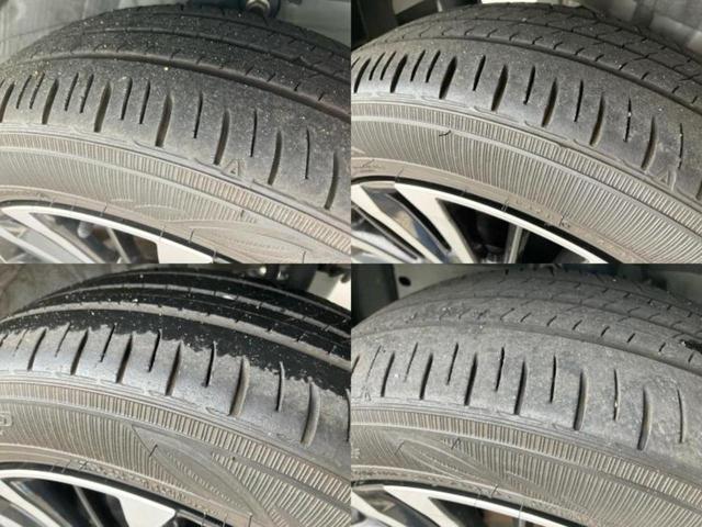 �u���̎Ԃ̎ʐ^�������ƌ������v�u��Ԃ��C�ɂȂ�v�u���̑����͂��Ă���H�v�ǂ�ȏ����ȋ^��ł����C�y�ɂ��₢���킹���������I