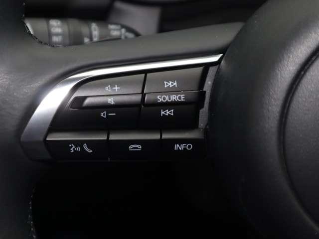 CX-30 2.0 20S プロアクティブ マツダ認定中古車 衝突被害軽減ブレーキ コ(12枚目)