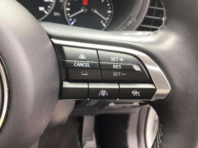 CX-30 XDツーリングブラックレザーPKG(10枚目)