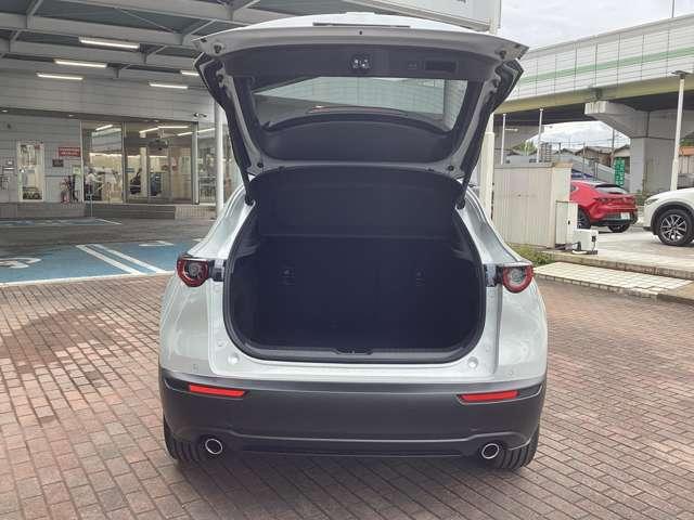 CX-30 XDツーリングブラックレザーPKG(17枚目)