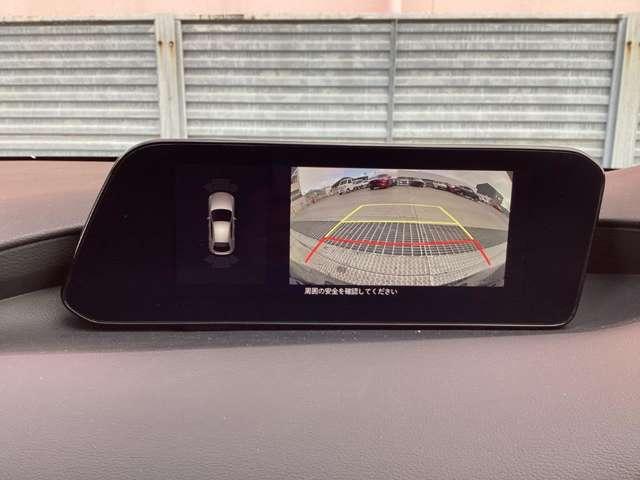 �J���[�Ō���f�������j�^�[�ɉf���o���Ă����̂ŁA�V���b�s���O���[���̂悤�ȋ������ԏ�ł������Ƃ��Ă���Q���������A�y�X���Ԃ��邱�Ƃ��ł��܂��ˁB