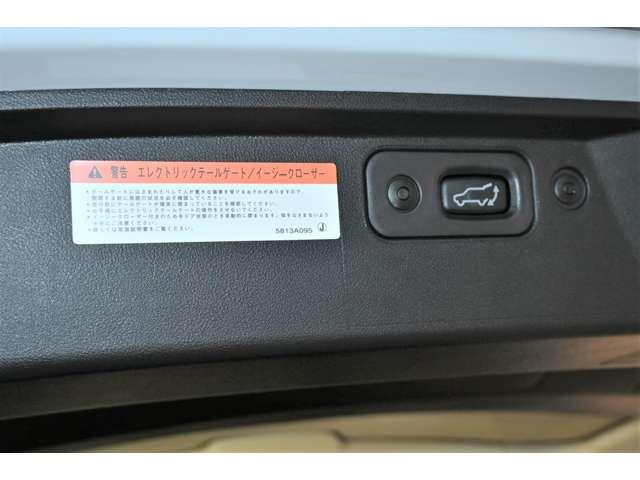 デリカD:5 シャモニー アイドリングS アクティブクルーズコントロール イモビ 衝突被害軽減装置 Bモニター サイドカメラ 助手席エアバッグ 電動リアゲート 4WD シートH パワーシート キーフリー 寒冷地仕様車 ABS(18枚目)