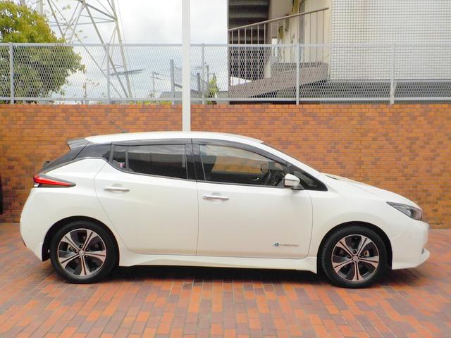 G 衝突時被害軽減ブレーキ 踏み間違い衝突防止アシスト 自動駐車 シートヒーター EV専用ナビ Bluetoothオーディオ アラウンドビューモニター LEDヘッドライト プロパイロット ETC ドラレコ(20枚目)