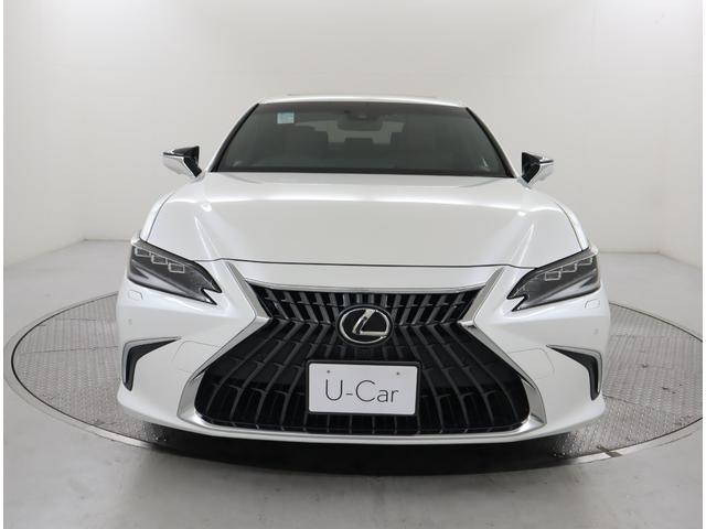 ES ES300h バージョンL セミアニリン本革/モーヴ/ウォールナット(オープンフィニッシュ/ダークブラウン) リヤスポイラー(9枚目)