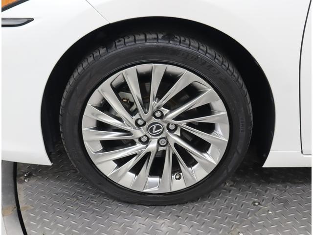 ES ES300h バージョンL セミアニリン本革/モーヴ/ウォールナット(オープンフィニッシュ/ダークブラウン) リヤスポイラー(16枚目)