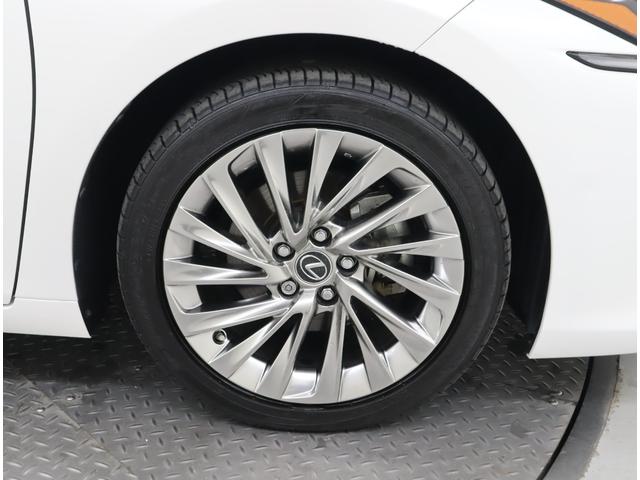 ES ES300h バージョンL セミアニリン本革/モーヴ/ウォールナット(オープンフィニッシュ/ダークブラウン) リヤスポイラー(18枚目)