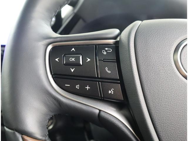 ES ES300h バージョンL セミアニリン本革/モーヴ/ウォールナット(オープンフィニッシュ/ダークブラウン) リヤスポイラー(29枚目)