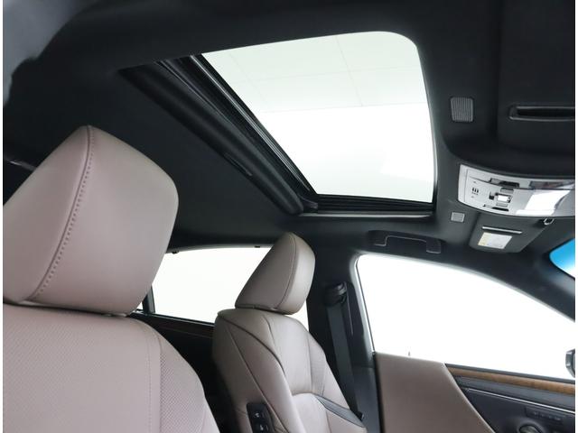 ES ES300h バージョンL セミアニリン本革/モーヴ/ウォールナット(オープンフィニッシュ/ダークブラウン) リヤスポイラー(33枚目)