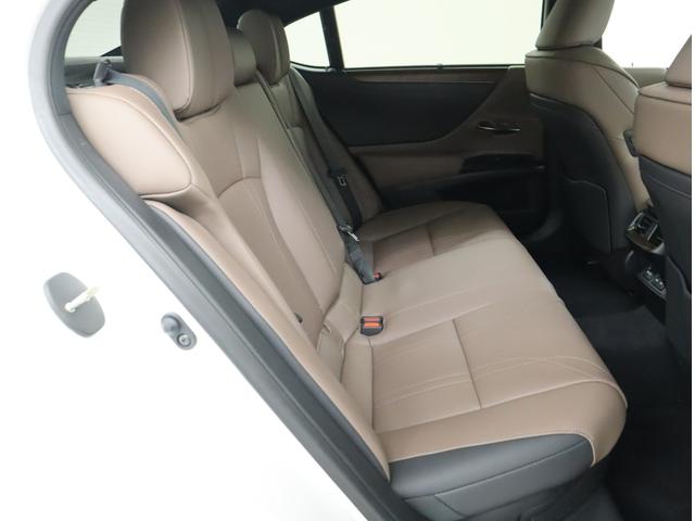 ES ES300h バージョンL セミアニリン本革/モーヴ/ウォールナット(オープンフィニッシュ/ダークブラウン) リヤスポイラー(43枚目)