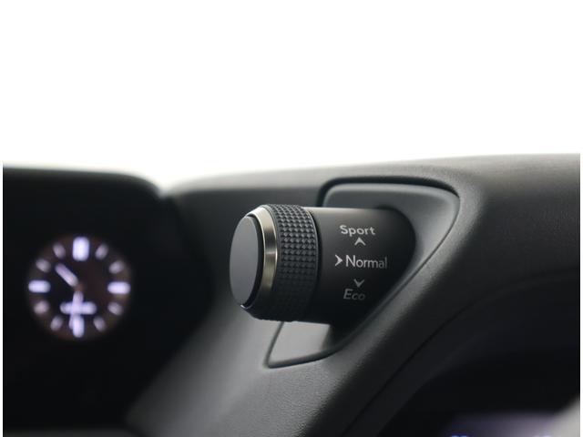 UX UX250h Fスポーツ パノラマミックビューモニター ムーンルーフ 社外品ドライブレコーダー レーンキーピングアシスト 三眼フルLEDヘッドライト Fスポーツ専用本革シート(16枚目)