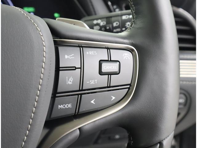 ＬＳ ＬＳ５００ｈ　エグゼクティブ　アドバンスドドライブ　セミアニリン本革／ホワイト／レザーカットスペシャル（ブラック）　銀影ラスター　２４５／４５Ｒ２０ランフラットタイヤ＆ノイズリダクションアルミ（スパッタリング塗装）（31枚目）