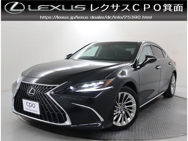 ES ES300h バージョンL 認定中古車 マークレビンソンプレミアムサラウンドサウンドシステム デジタルインナーミラー IRカットフィルム サイドバイザーフロアマット(タイプA) ナンバーフレーム ドアエッジプロテクター(2枚目)
