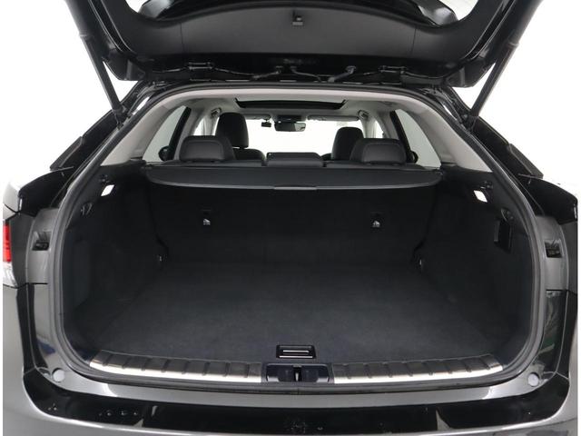ＲＸ ＲＸ３００　２０インチアルミホイール、ルーフレール、三眼フルＬＥＤヘッドランプ、パノラミックビューモニター、パノラマルーフ、本革シート（16枚目）