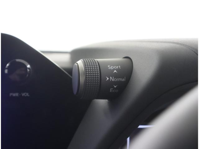 UX UX250h バージョンL 認定中古車 パーキングサポートブレーキ ブラインドスポットモニター プリクラッシュセーフティシステム レーントレーシングアシスト レーダークルーズコントロール オートマチックハイビーム(18枚目)