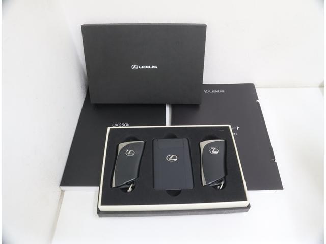 UX UX250h バージョンL 認定中古車 パーキングサポートブレーキ ブラインドスポットモニター プリクラッシュセーフティシステム レーントレーシングアシスト レーダークルーズコントロール オートマチックハイビーム(28枚目)