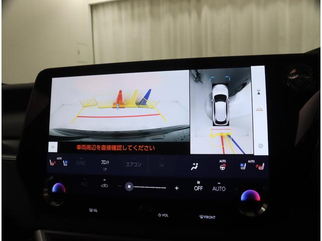 �ԗ����ӂ̈��S�m�F������p�m���~�b�N�r���[���j�^�[