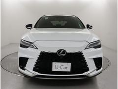 ָʤɤαž˾㳲ʪܶ˥ɽȥ֥Τ餻륯ꥢ󥹥ʡ 6