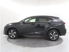 ��������å���ʥ����ɥӥ塼 6